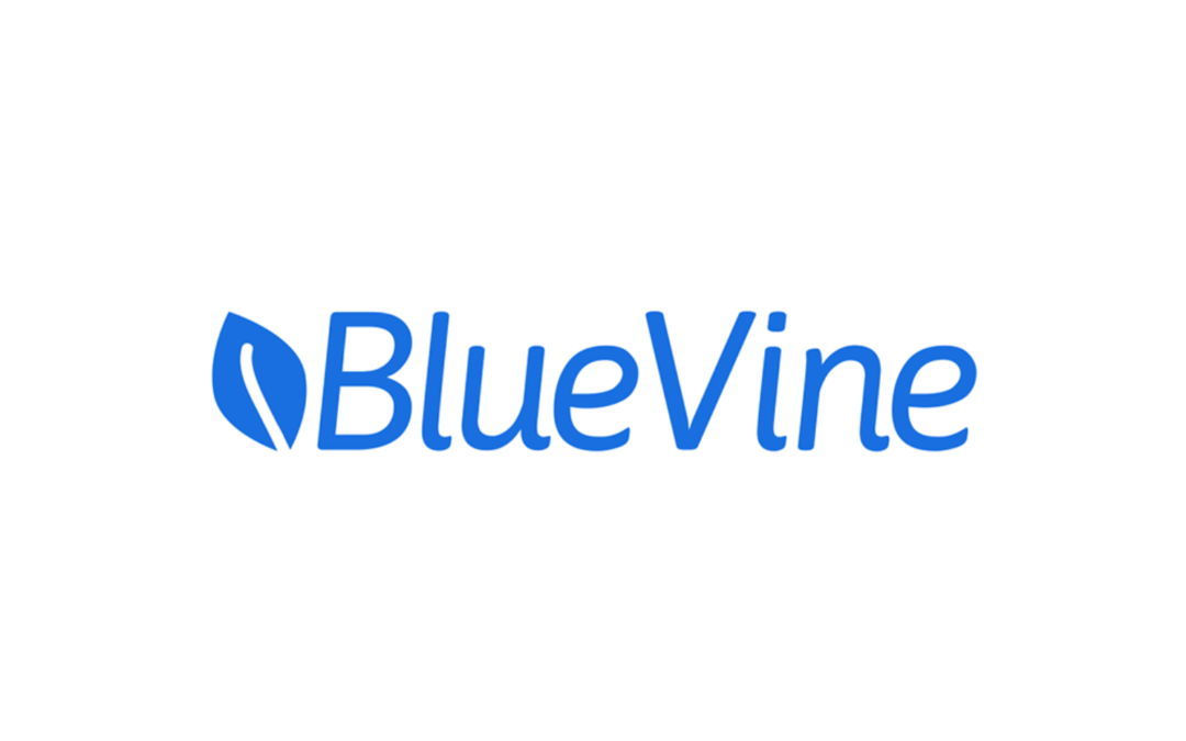 BlueVine Survey: The State of Small Business Banking in the U.S.