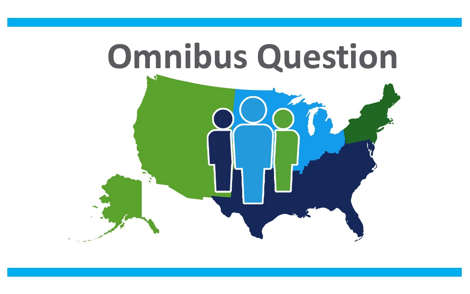 omnibus-survey