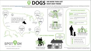 spoton-infographic